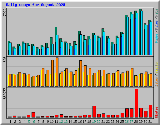 Daily usage for August 2023