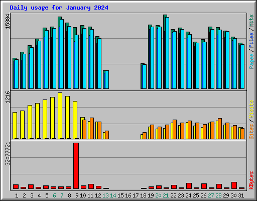 Daily usage for January 2024