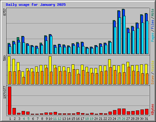 Daily usage for January 2025