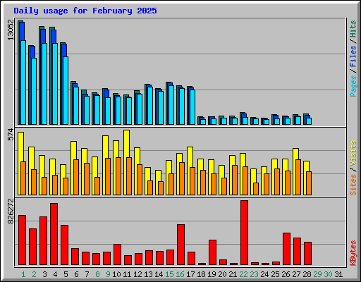 Daily usage for February 2025