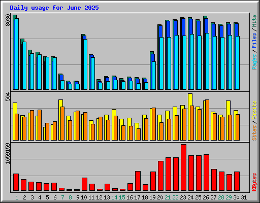 Daily usage for June 2025