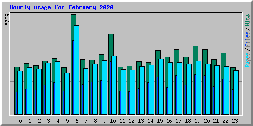 Hourly usage for February 2020