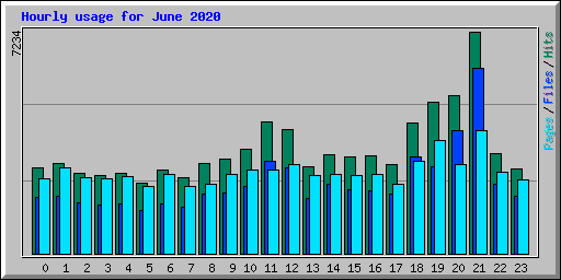 Hourly usage for June 2020