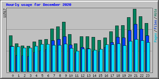 Hourly usage for December 2020