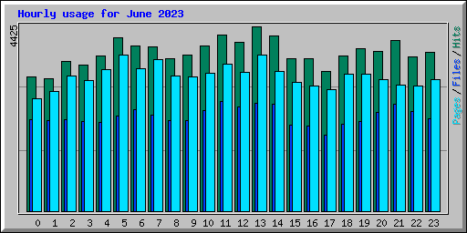 Hourly usage for June 2023