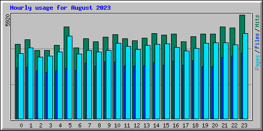 Hourly usage for August 2023