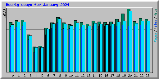 Hourly usage for January 2024