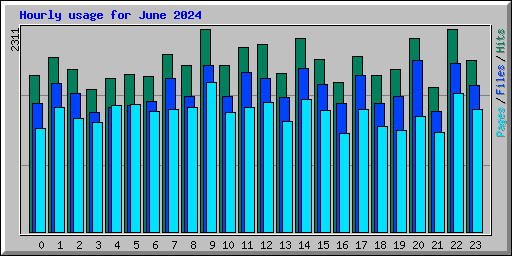 Hourly usage for June 2024