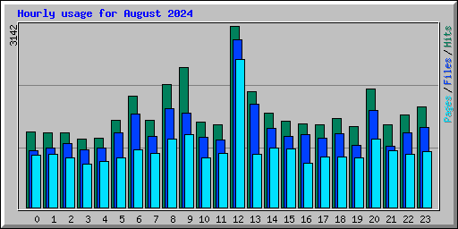 Hourly usage for August 2024