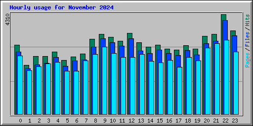 Hourly usage for November 2024