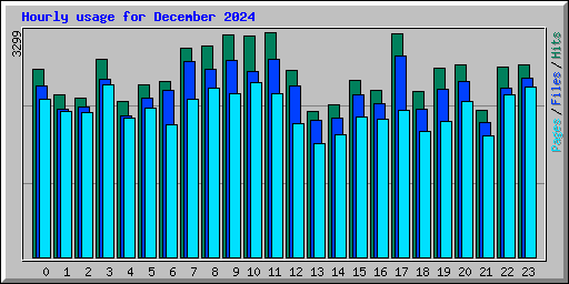 Hourly usage for December 2024