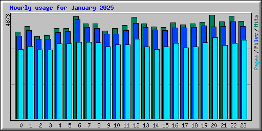 Hourly usage for January 2025