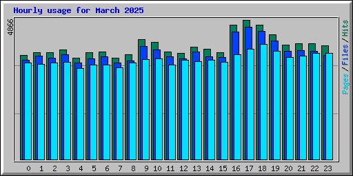 Hourly usage for March 2025