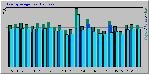 Hourly usage for May 2025