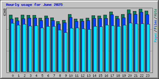 Hourly usage for June 2025