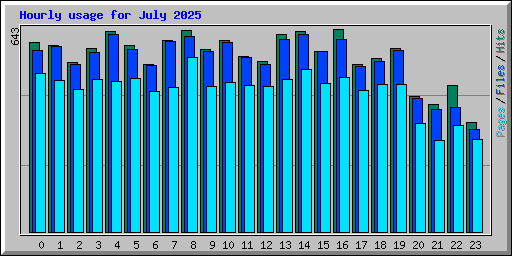 Hourly usage for July 2025