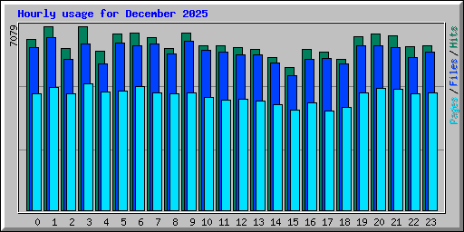 Hourly usage for December 2025
