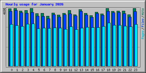 Hourly usage for January 2026