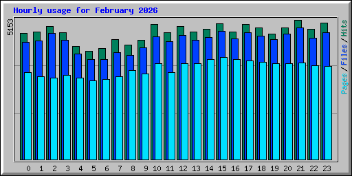 Hourly usage for February 2026