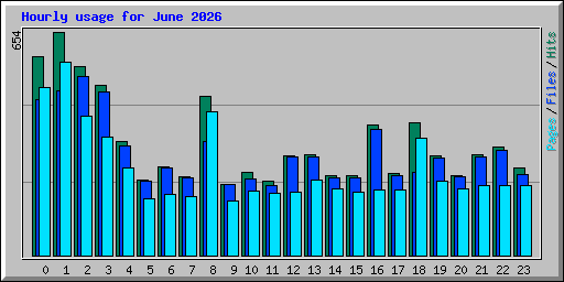 Hourly usage for June 2026
